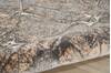Nourison Heritage Grey 52 X 73 Area Rug 805-113685 Thumb 2