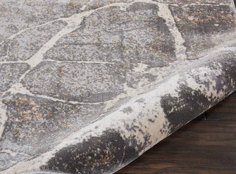 Nourison Heritage Grey 80 X 105 Area Rug 805-113686 Image 2