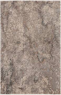 Nourison Heritage Grey 3'11" X 5'11" Area Rug  805-113689