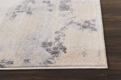 Nourison Heritage Beige 311 X 511 Area Rug 805-113698 Image 4