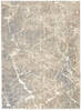 Nourison Sahara Beige 310 X 510 Area Rug  805-113795 Thumb 0