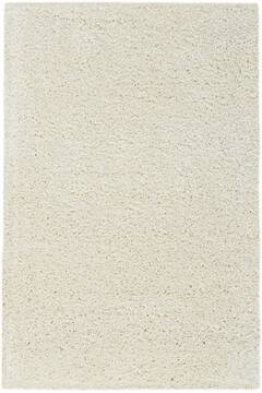 Nourison Malibu Shag Beige 2'6" X 4'0" Area Rug  805-114082