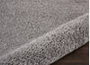 Nourison Malibu Shag Grey 311 X 511 Area Rug  805-114107 Thumb 2