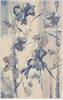 Nourison Somerset Beige 26 X 40 Area Rug 805-114928 Thumb 0