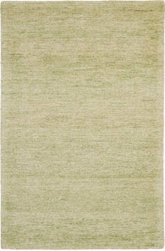 Nourison Weston Green 3'9" X 5'9" Area Rug  805-115569