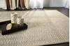 Nourison KIAWIAH Beige 50 X 76 Area Rug 805-115669 Thumb 4