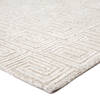 Jaipur Living Capital White 50 X 80 Area Rug RUG138382 803-116376 Thumb 1