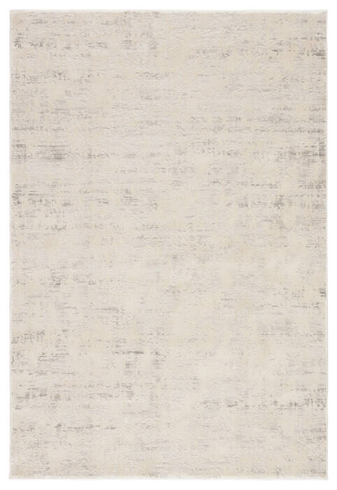 Jaipur Living Cirque Grey 50 X 76 Area Rug RUG137126 803-116550 Image 0