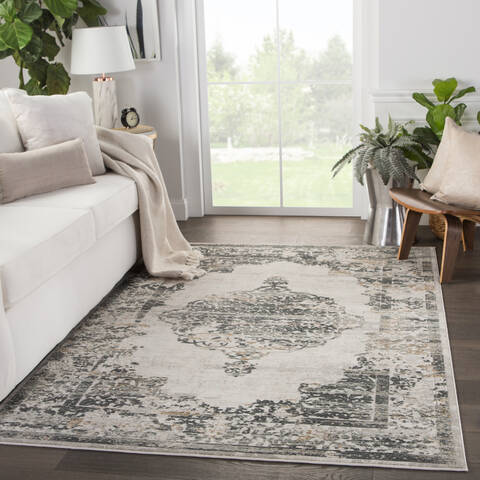 Jaipur Living Cirque Grey 50 X 76 Area Rug RUG142962 803-116671 Image 4
