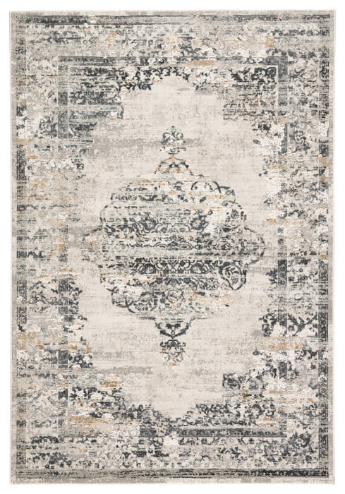 Jaipur Living Cirque Grey 50 X 76 Area Rug RUG142962 803-116671 Image 0