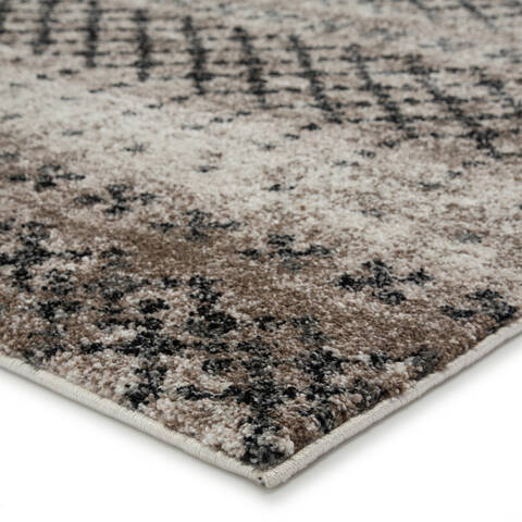 Jaipur Living Dalton Beige 50 X 76 Area Rug RUG141704 803-116965 Image 1