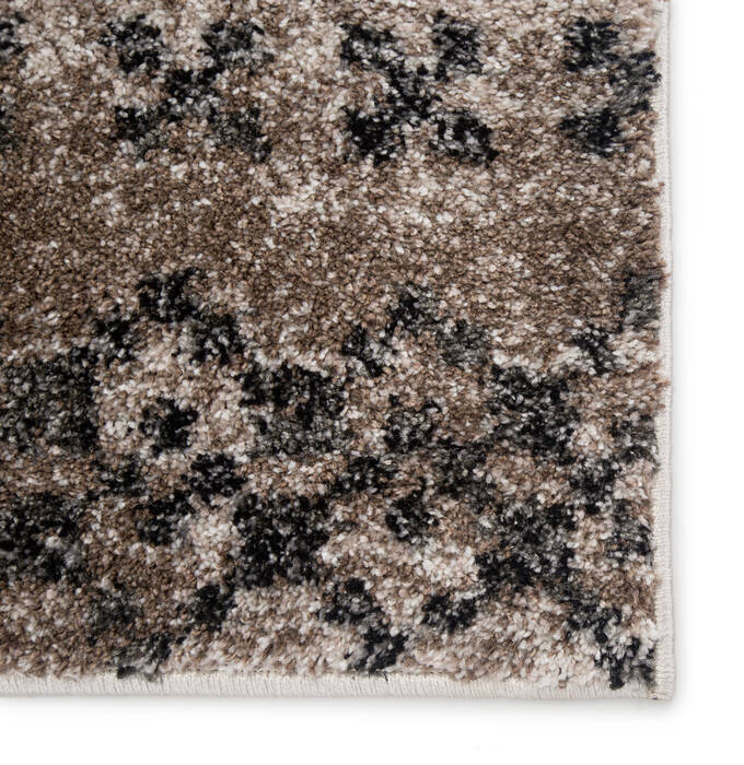 Jaipur Living Dalton Beige 50 X 76 Area Rug RUG141704 803-116965 Image 3