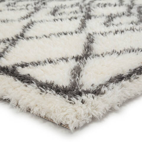 Jaipur Living Intermix White 40 X 60 Area Rug RUG141593 803-117758 Image 1