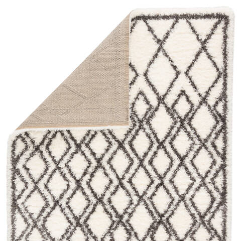 Jaipur Living Intermix White 40 X 60 Area Rug RUG141593 803-117758 Image 2