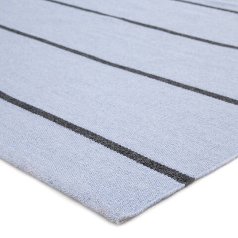 Jaipur Living Lanai Blue 40 X 60 Area Rug RUG143115 803-117876 Image 1