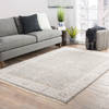 Jaipur Living Liberty Grey 90 X 120 Area Rug RUG124621 803-117945 Thumb 4