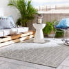 Jaipur Living Monteclair Grey 20 X 37 Area Rug RUG143359 803-118146 Thumb 5