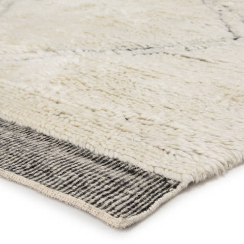 Jaipur Living Tala White 90 X 130 Area Rug RUG138521 803-119265 Image 1