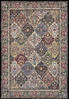 Dynamic ANCIENT GARDEN Multicolor 53 X 77 Area Rug AN69570083233 801-119824 Thumb 0