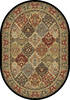 Dynamic ANCIENT GARDEN Multicolor Oval 53 X 77 Area Rug ANOV69570083233 801-119825 Thumb 0