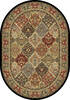 Dynamic ANCIENT GARDEN Multicolor Oval 67 X 96 Area Rug ANOV71057008323 801-119827 Thumb 0