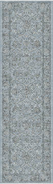 Dynamic ANCIENT GARDEN Blue Runner 2'2" X 11'0" Area Rug AN212571364646 801-119948