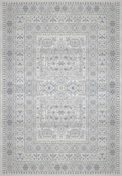 Dynamic ANCIENT GARDEN Grey 3'11" X 5'7" Area Rug AN46571479696 801-119985
