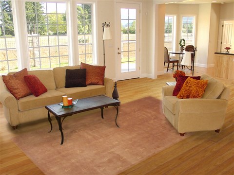 Modern Brown Hand Knotted 80 X 110 Area Rug 100-12039 Image 4
