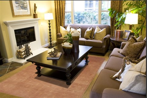Modern Brown Hand Knotted 80 X 110 Area Rug 100-12039 Image 3