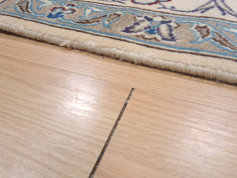 Nain Blue Hand Knotted 66 X 103 Area Rug 100-12046 Image 13