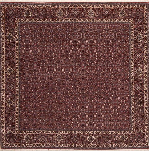 Bidjar Red Square Hand Knotted 69 X 69  Area Rug 100-12053 Image 0