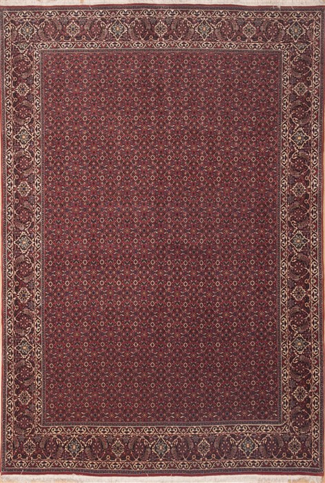 Bidjar Red Hand Knotted 66 X 98  Area Rug 100-12065 Image 0