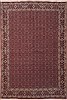 Bidjar Red Hand Knotted 66 X 98  Area Rug 100-12065 Thumb 0