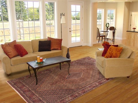 Sanandaj Brown Hand Knotted 68 X 910 Area Rug 100-12083 Image 4