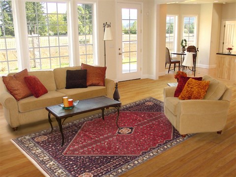Abadeh Red Hand Knotted 68 X 100 Area Rug 100-12088 Image 4