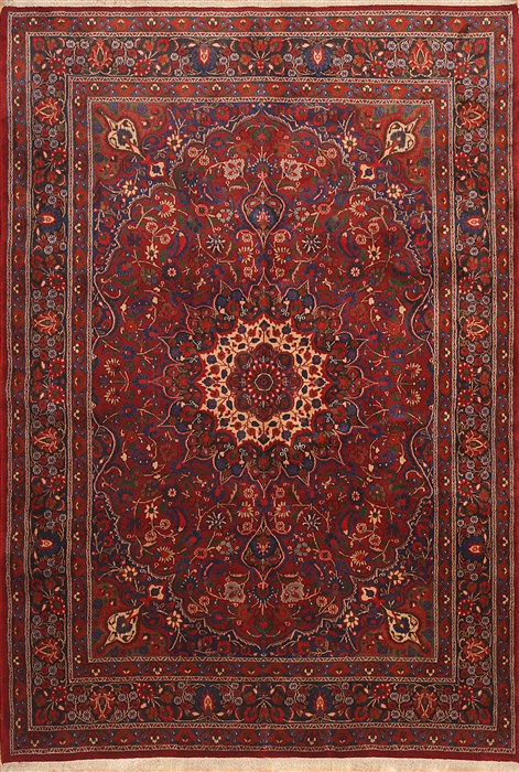 Birjand Red Hand Knotted 69 X 96  Area Rug 100-12129 Image 0