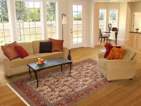 Birjand Beige Hand Knotted 67 X 97 Area Rug 100-12130 Image 4