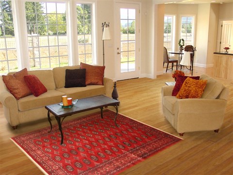 Bokhara Red Hand Knotted 54 X 83 Area Rug 100-12142 Image 4