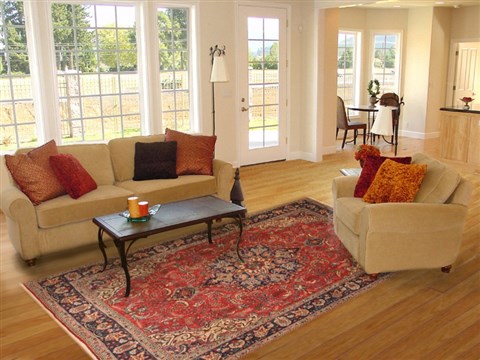 Moshk Abad Red Hand Knotted 69 X 101 Area Rug 100-12148 Image 4