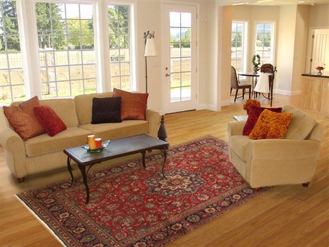 Tabriz Red Hand Knotted 70 X 99 Area Rug 100-12149 Image 4