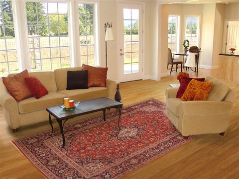 Ardakan Red Hand Knotted 68 X 98 Area Rug 100-12154 Image 4