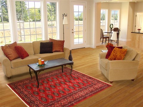 Bokhara Red Hand Knotted 42 X 62 Area Rug 100-12166 Image 5