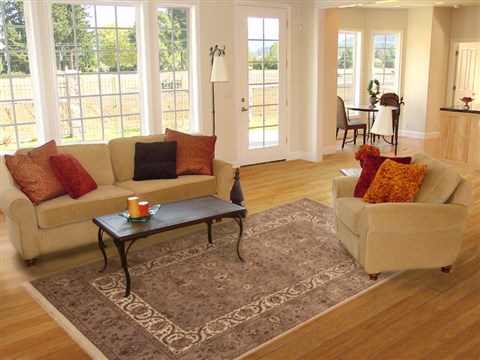 Jaipur Brown Hand Knotted 511 X 811 Area Rug 100-12167 Image 4