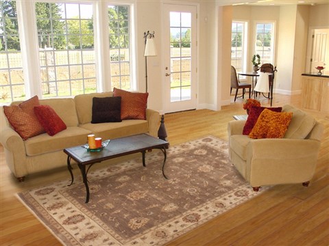 Ziegler Brown Hand Knotted 80 X 103 Area Rug 100-12199 Image 4