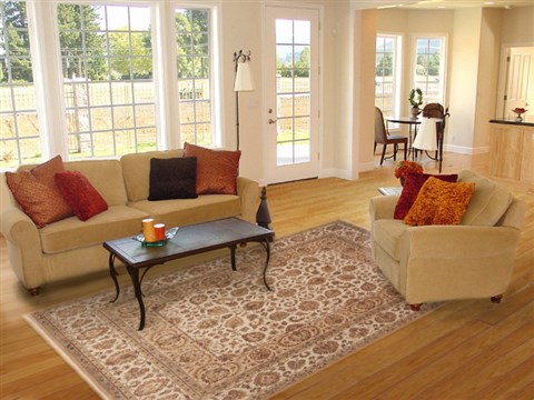 Jaipur Beige Hand Knotted 79 X 100 Area Rug 100-12204 Image 4