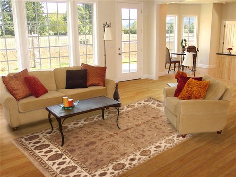 Jaipur Brown Hand Knotted 711 X 101 Area Rug 100-12210 Image 4