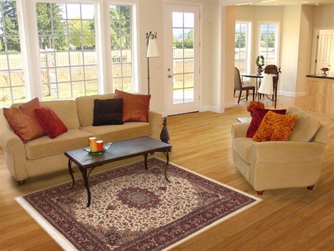 Tabriz Beige Hand Knotted 41 X 60 Area Rug 100-12248 Image 5