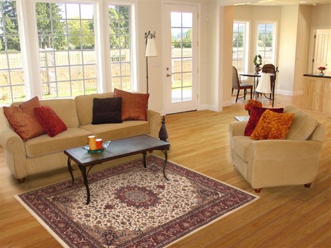 Tabriz Beige Hand Knotted 40 X 60 Area Rug 100-12249 Image 5