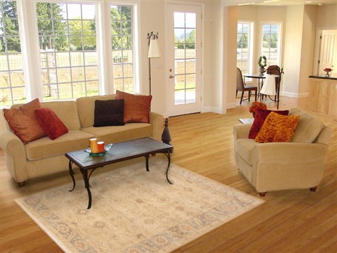 Chobi Yellow Hand Knotted 40 X 59 Area Rug 100-12253 Image 5