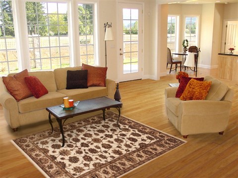 Jaipur Beige Hand Knotted 40 X 62 Area Rug 100-12256 Image 5
